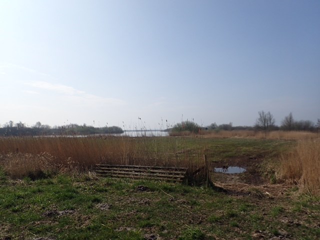 Acht van Burgum 2025