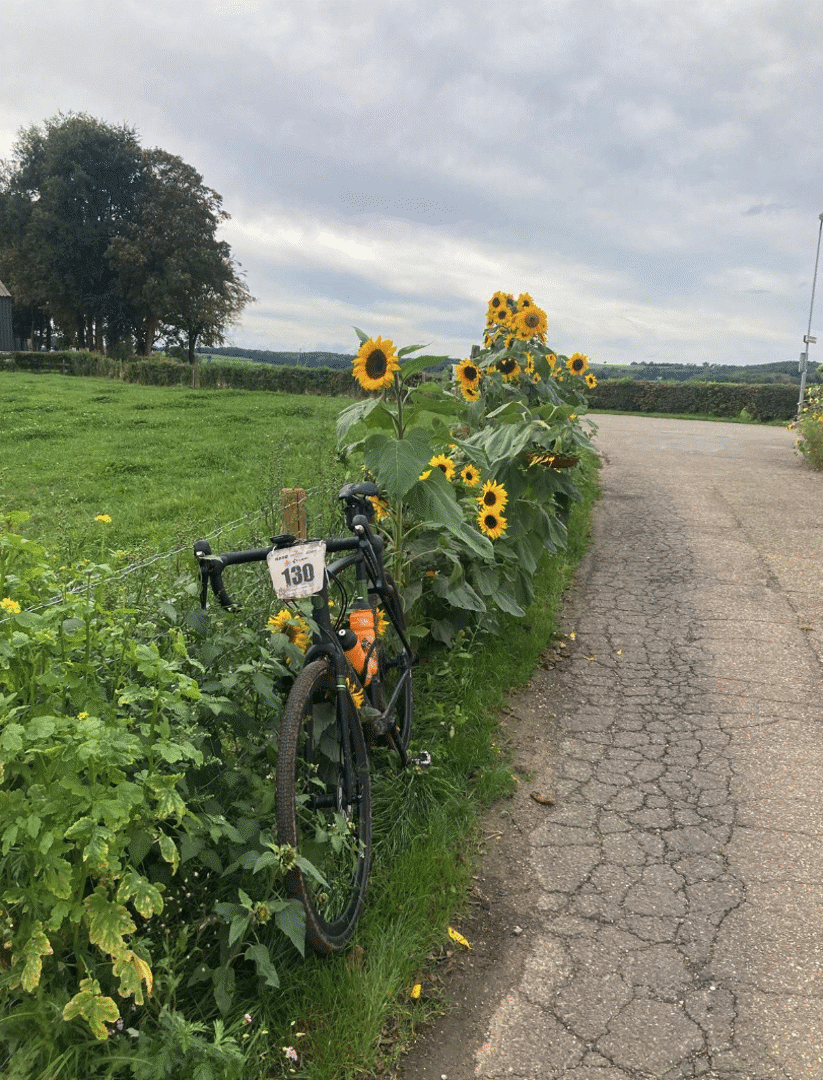 Gulpense Graveltocht 2025