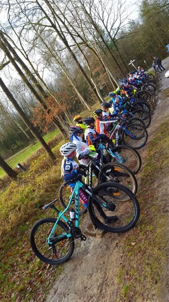 Stormvogels Veendam