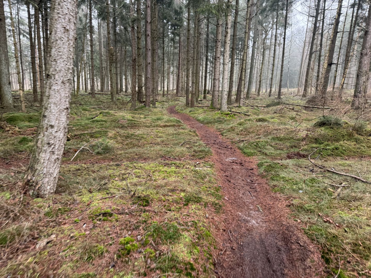 Hondsrug MTB Tocht 2025