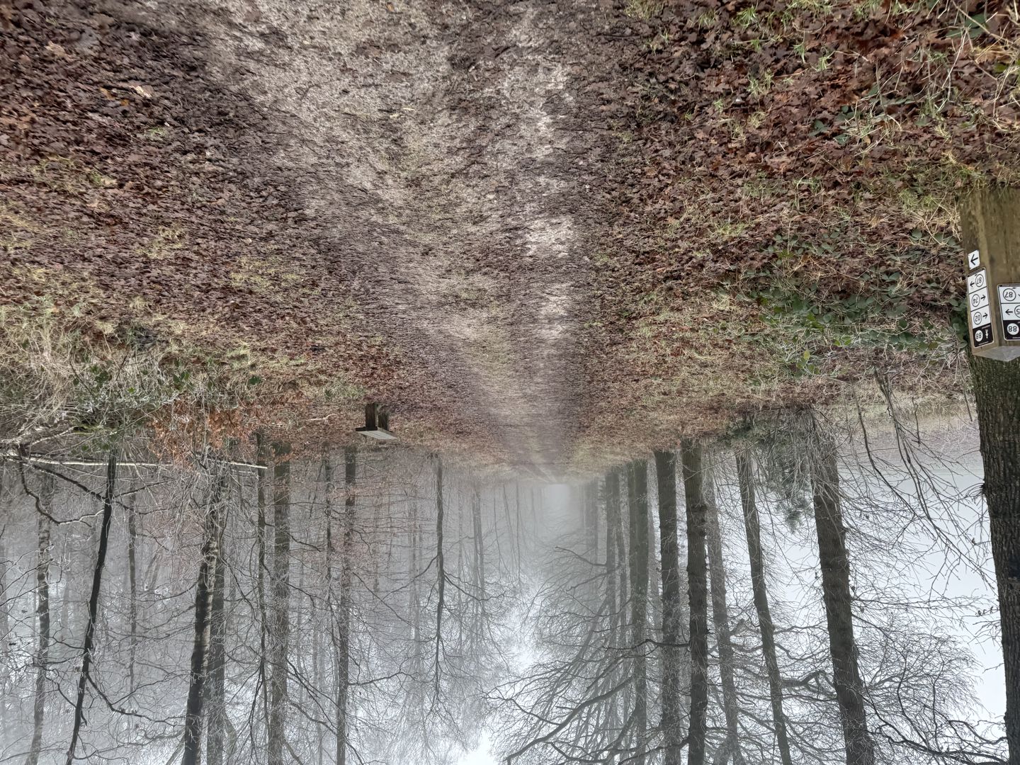 Hondsrug MTB Tocht 2025