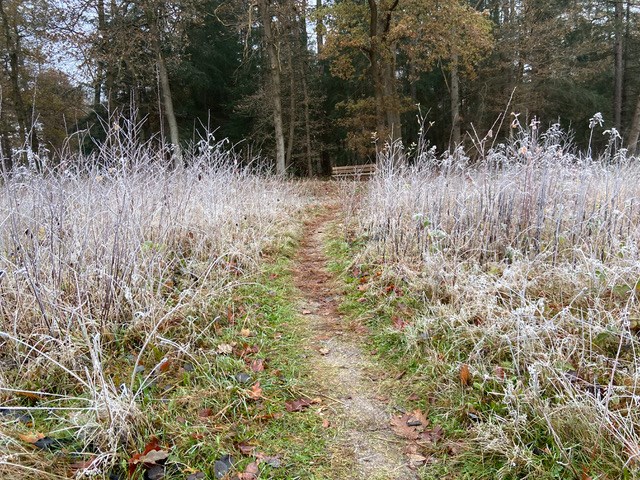 Hondsrug MTB-tocht 2023
