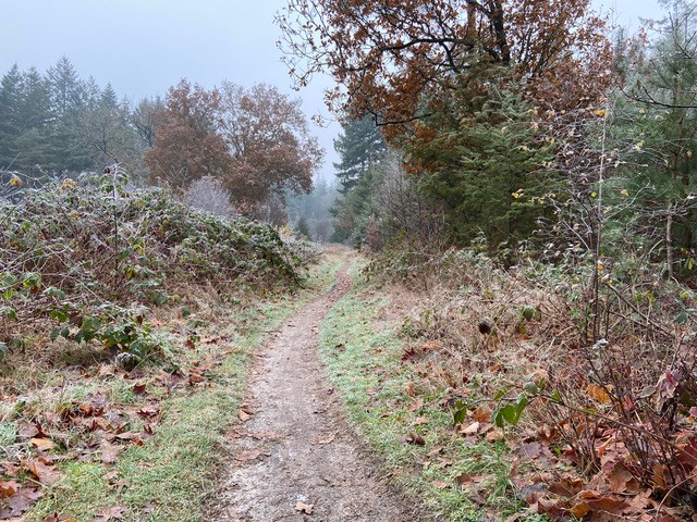 Hondsrug MTB-tocht 2023