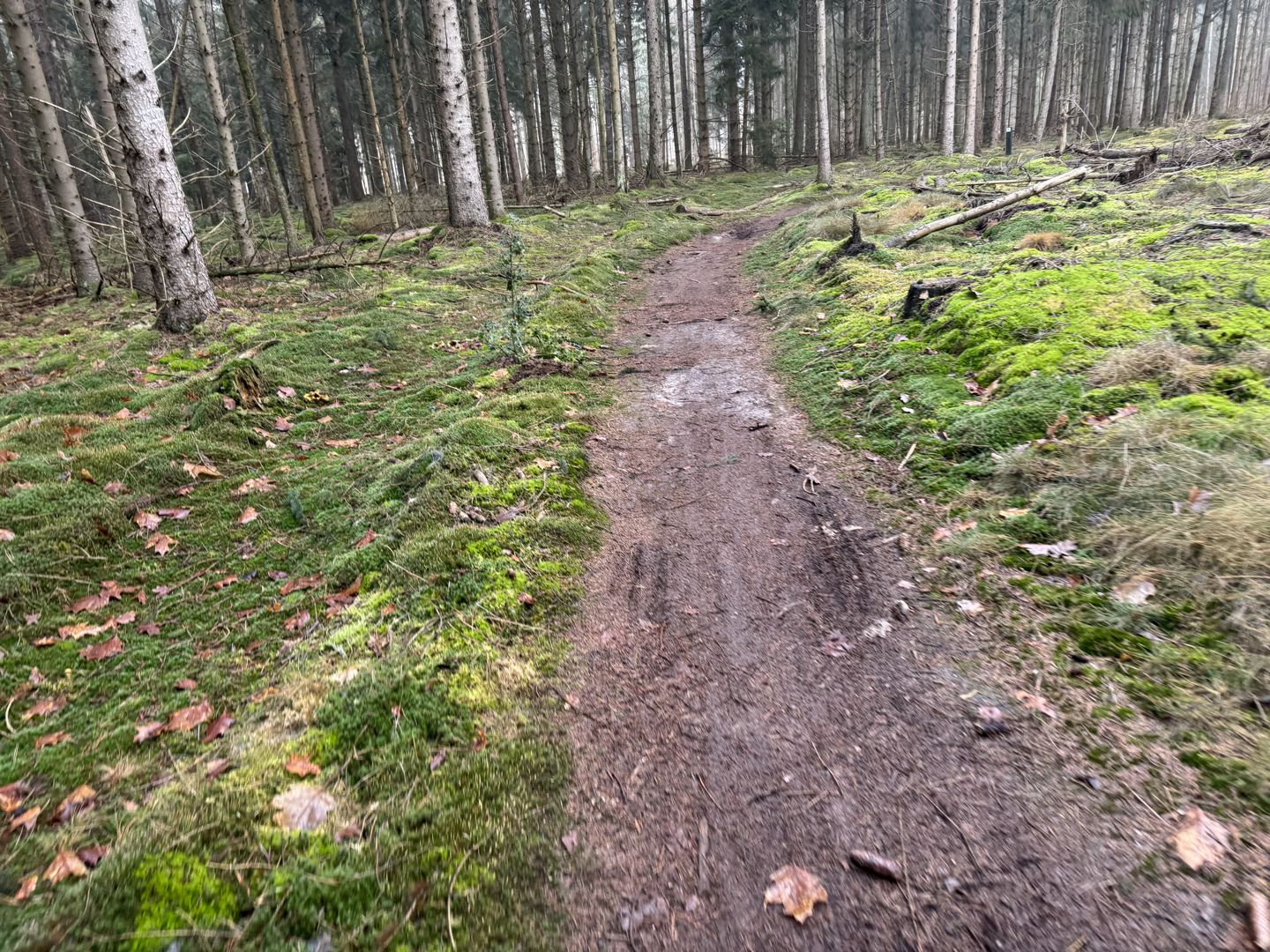Hondsrug MTB Tocht 2025