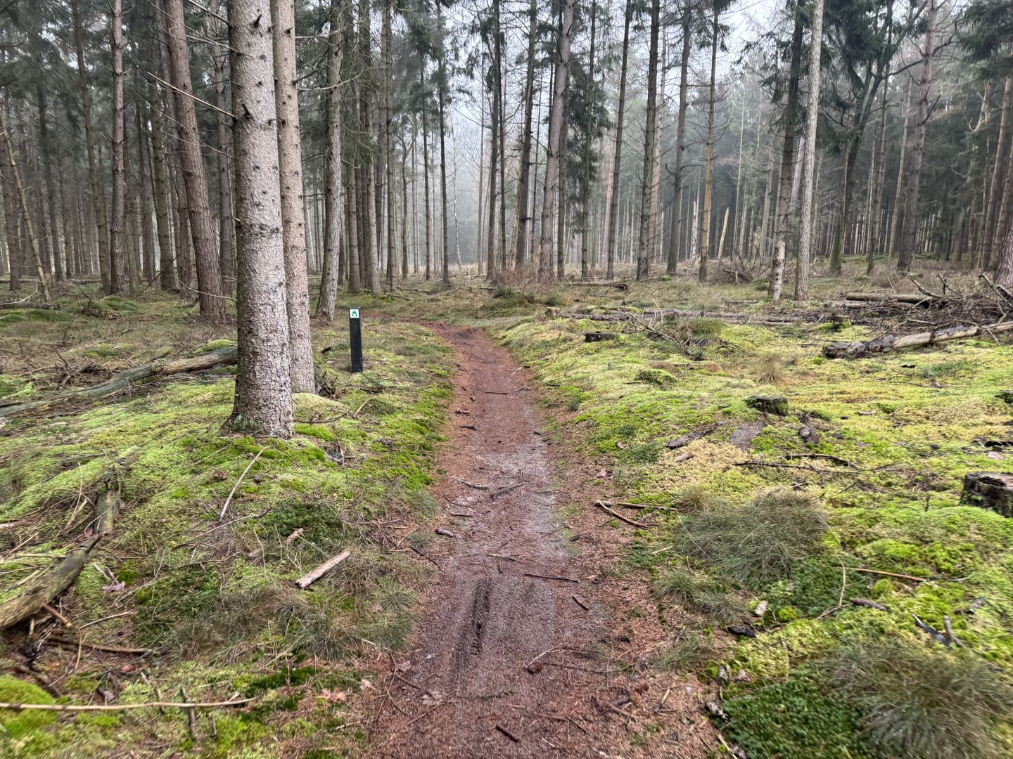 Hondsrug MTB Tocht 2025