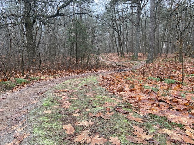 Hondsrug MTB-tocht 2023