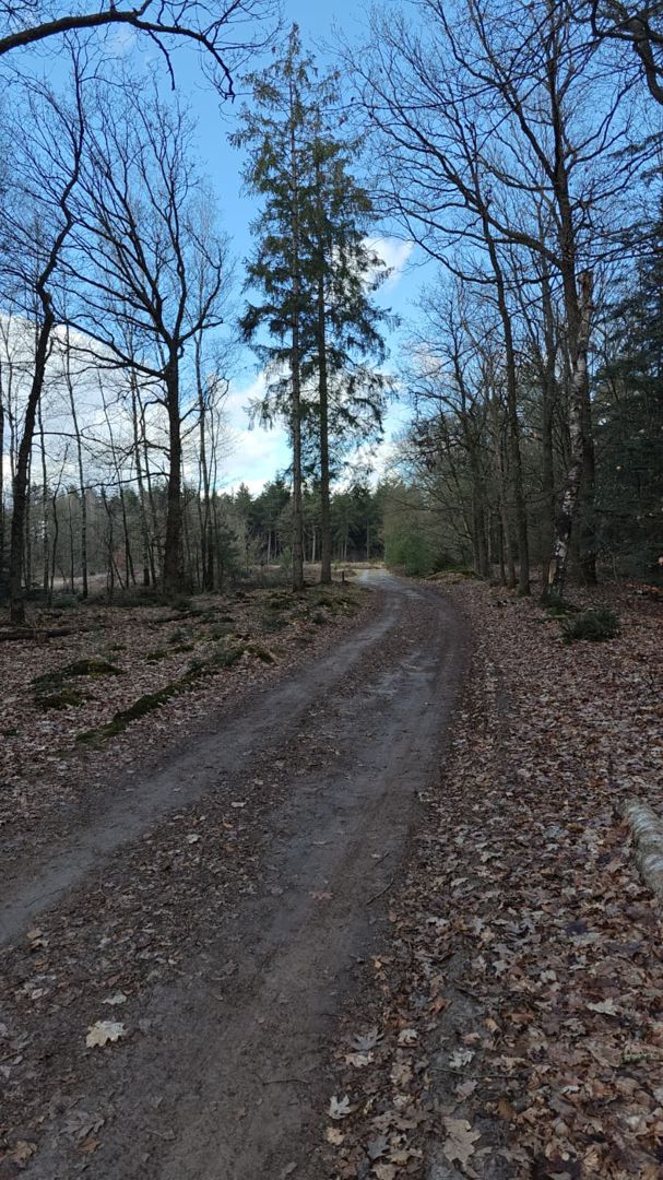 Tegelhuys Gravel Ride 100 km 2026