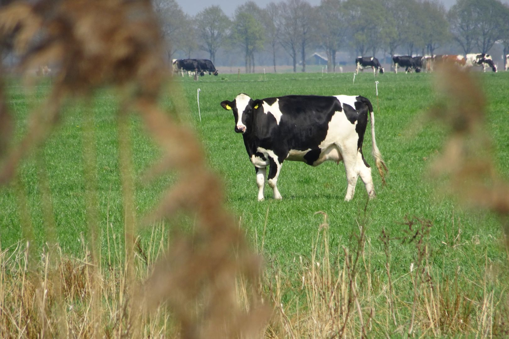 Reinders Assurantiën Najaarstocht