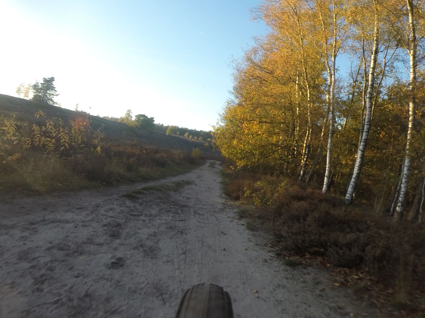 Swolse Bos Tocht