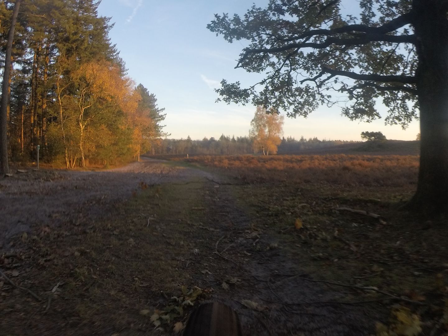 Swolse Bos Tocht