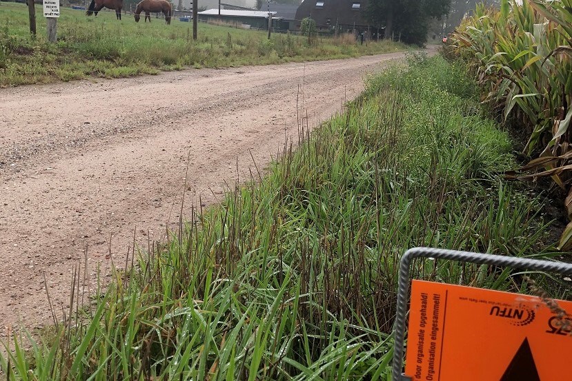 Strade Bianche Nijverdal 2024