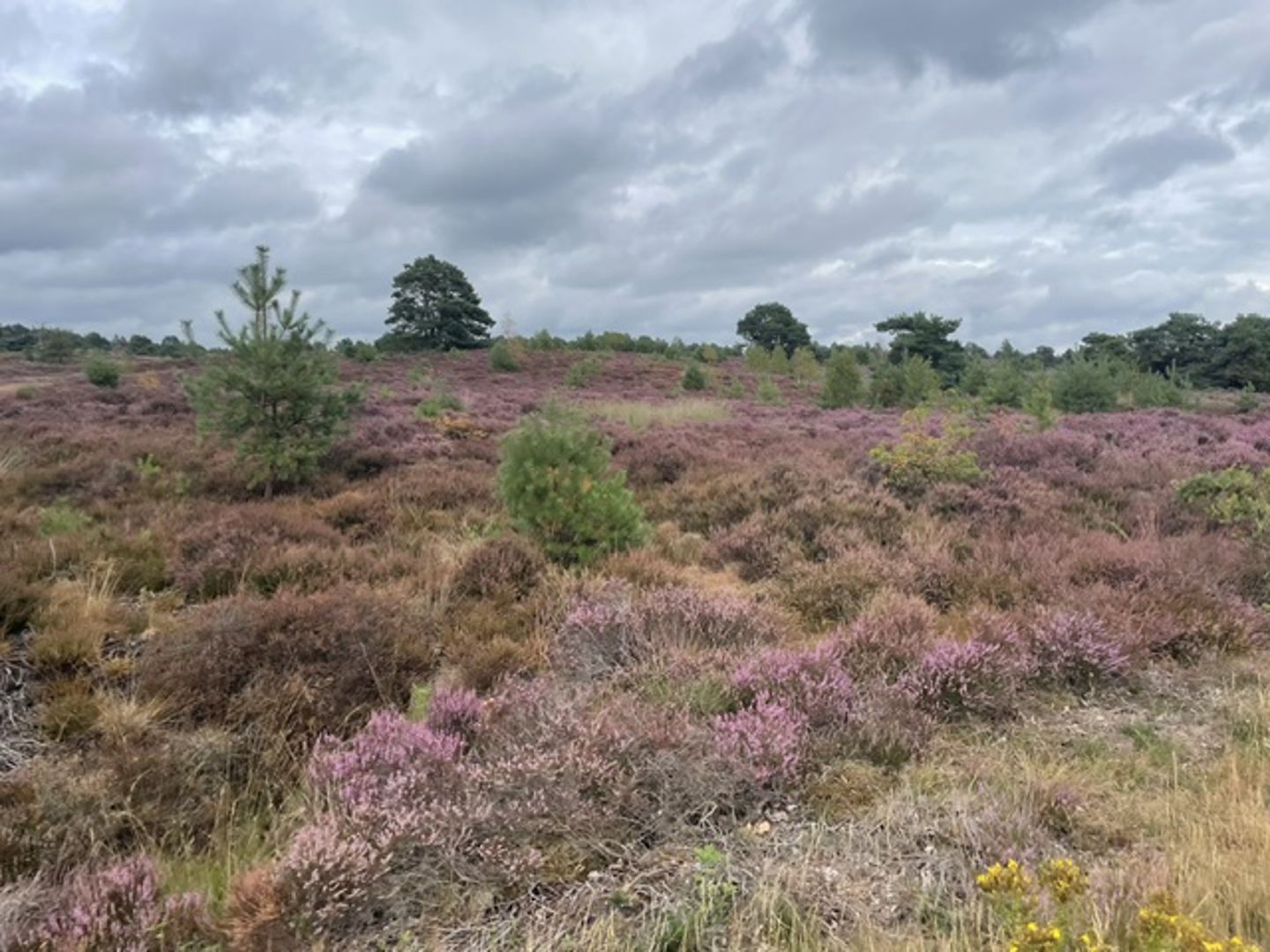 Ter Steege Graveltocht 2026
