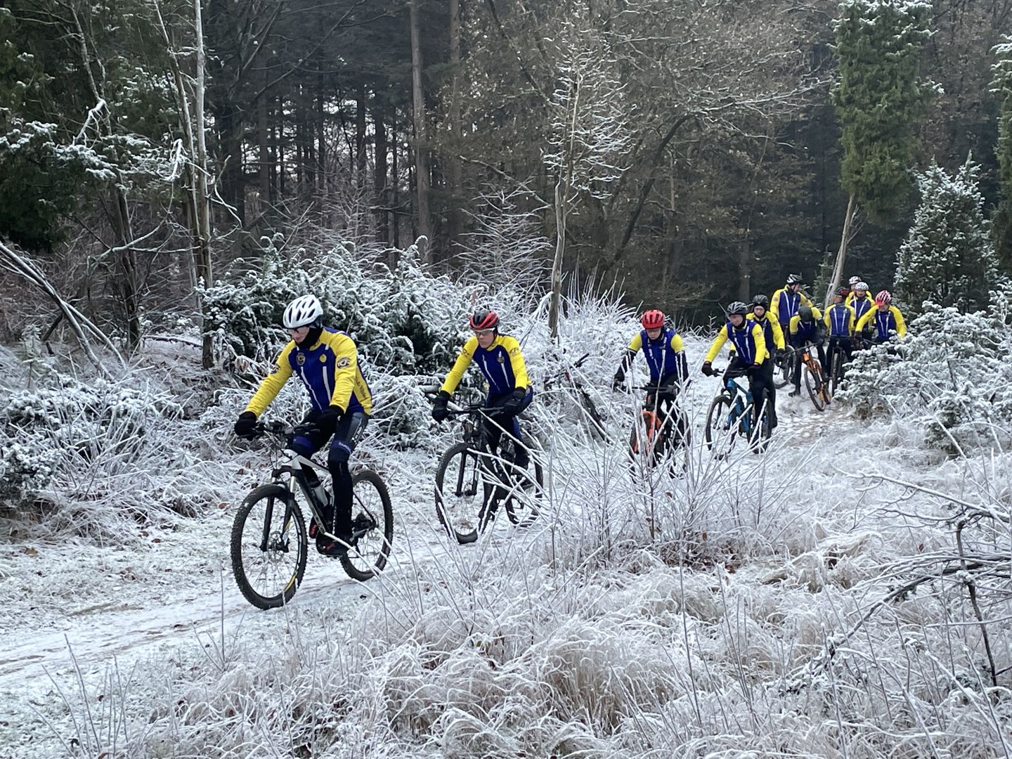 Bike Basement MTB en Graveltocht 2025