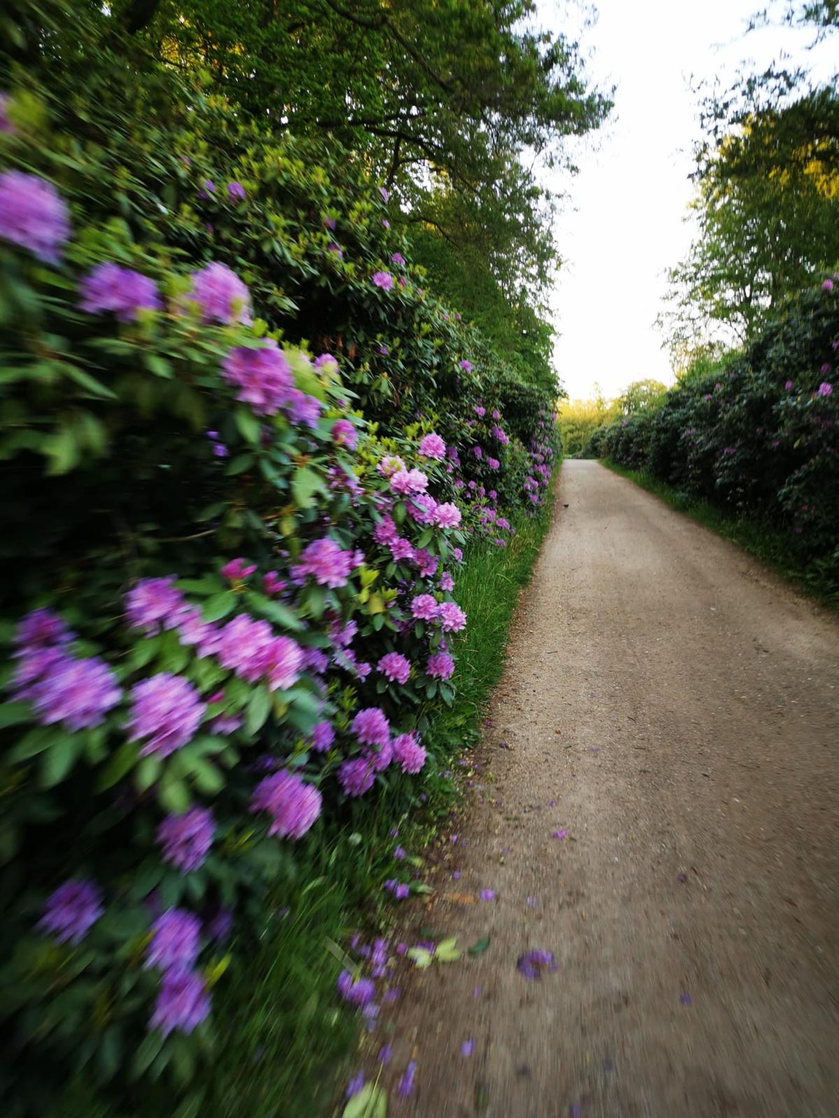 Strade di Twente (GPX route)