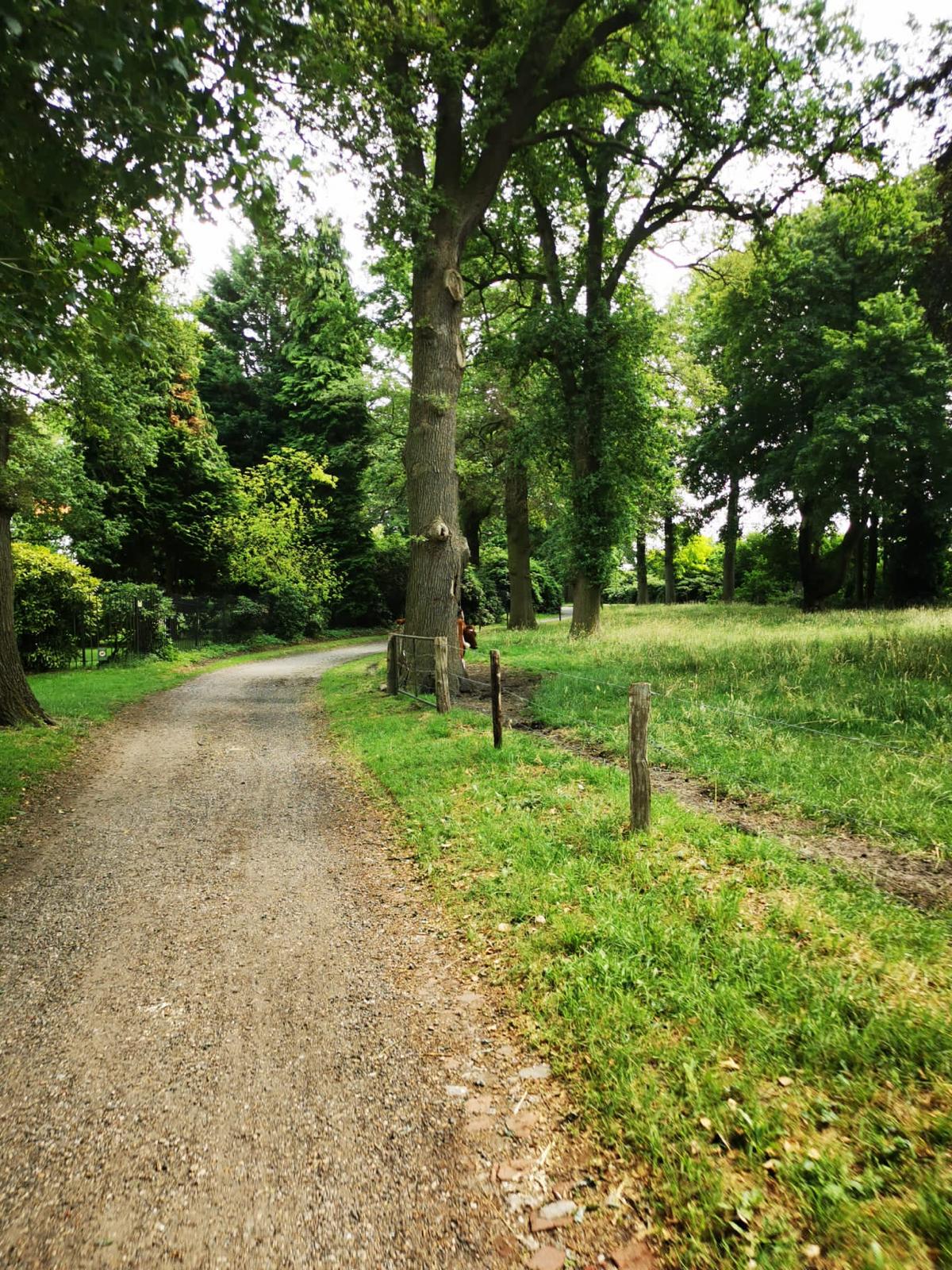 Strade di Twente (GPX route)