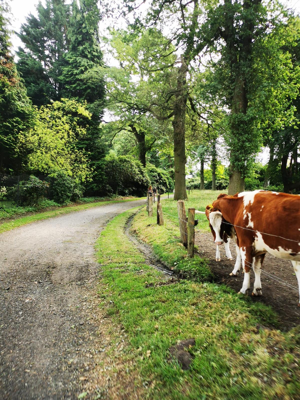 Strade di Twente (GPX route) 2025