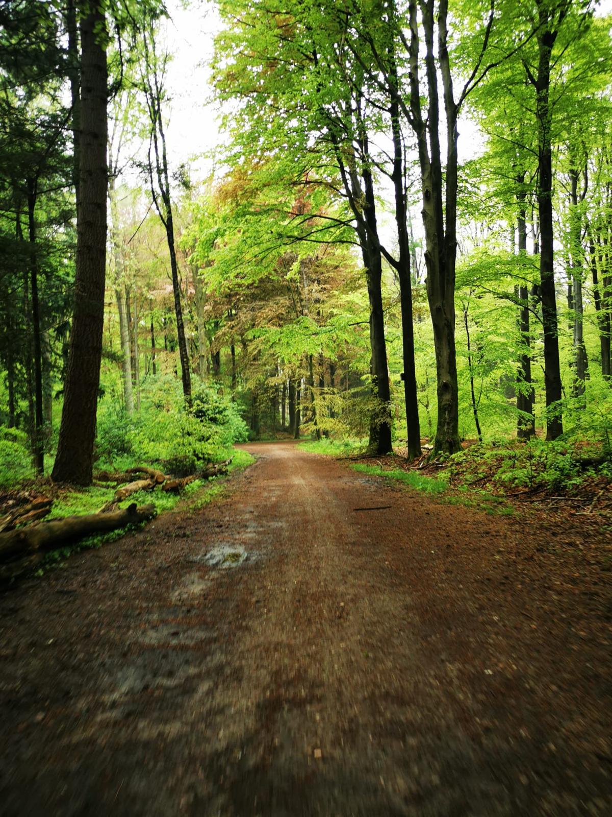 Strade di Twente (GPX route)