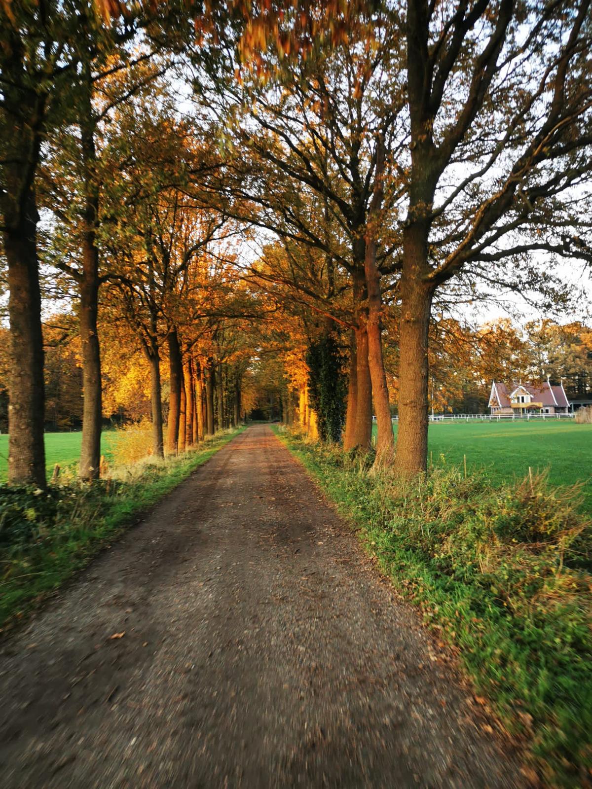 Strade di Twente (GPX route)