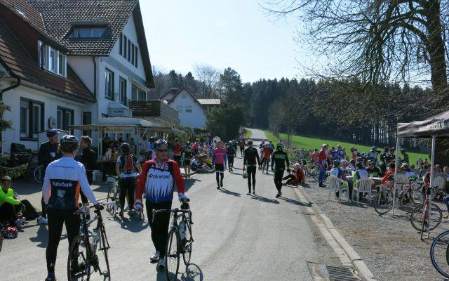 Teutoburgerwaldtocht