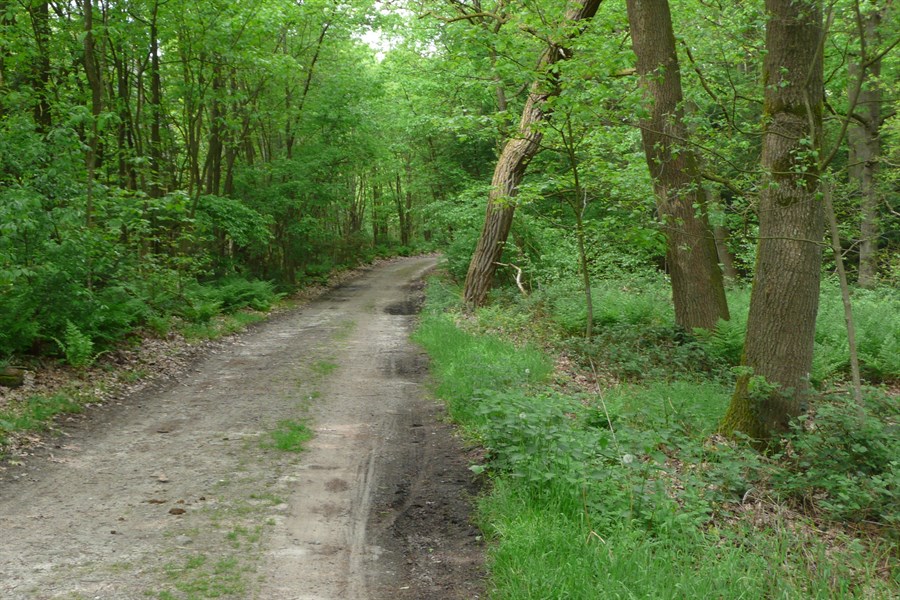 Sprakeltoer Gravel