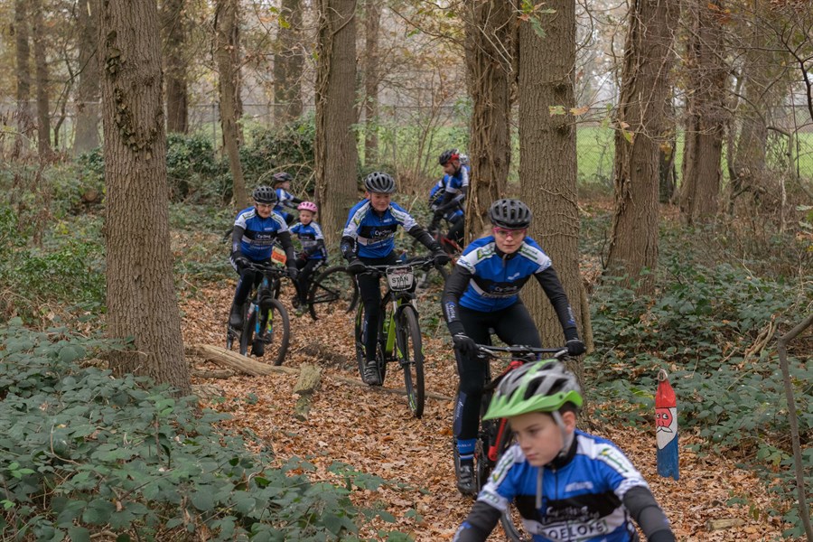 Cycling Lemelerveld