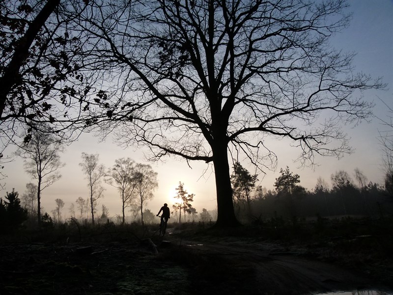 Dutch Masters Of MTB 101 km E-Bike Marathon 2024