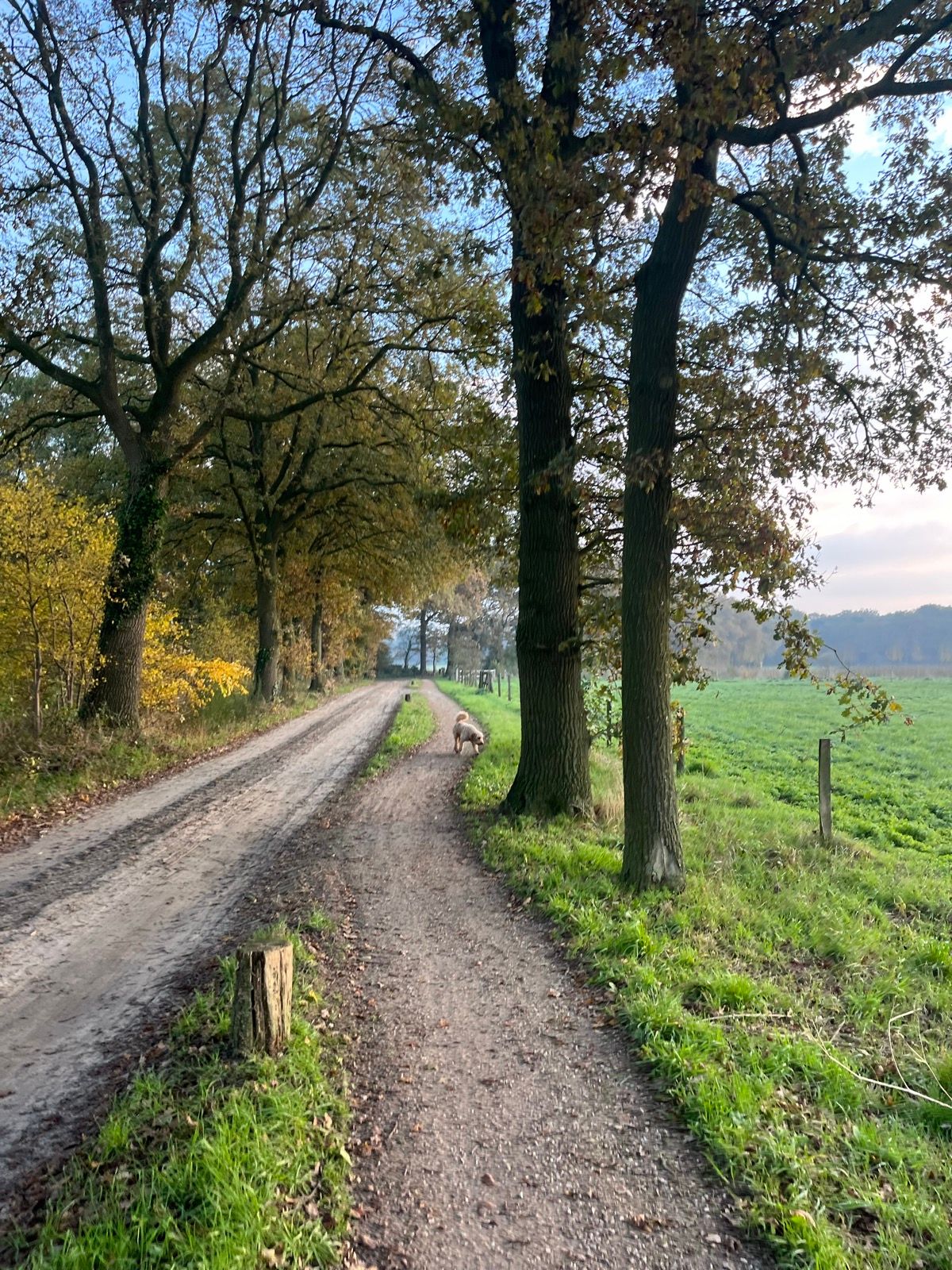 Gerben Löwik Classic Gravel 2024