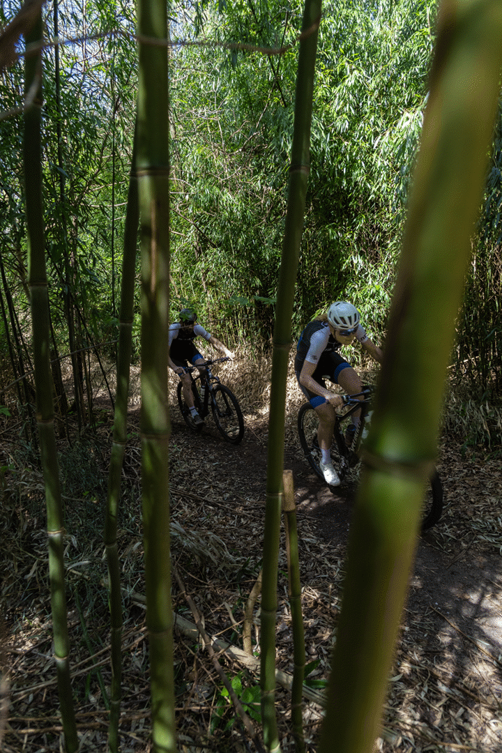 MTBroute Dronten - Biken op een zandbank