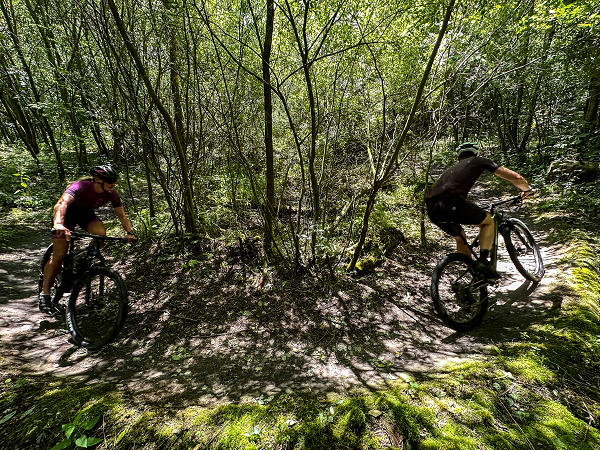 MTBroute Zeewolde - Flevolandse jungle