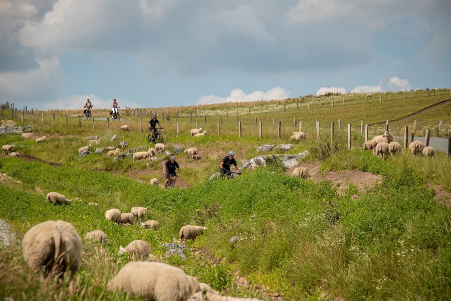 MTB-route Wijster (VAM-berg)