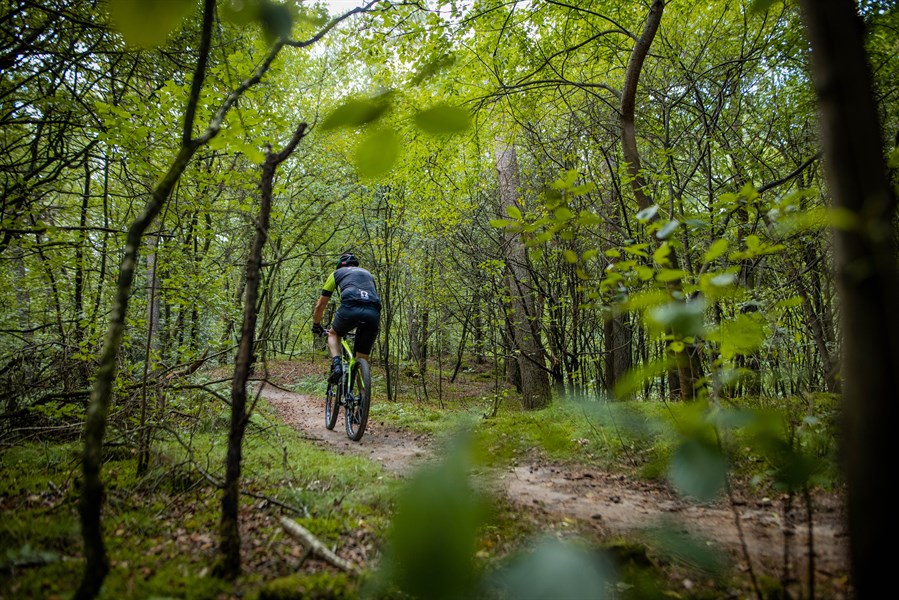 MTB-route Diever-Hoogersmilde