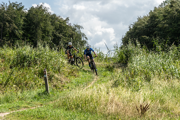 MTBroute Lelystad - Groene long