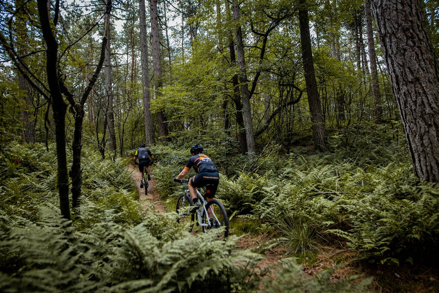 MTB-route Diever-Hoogersmilde