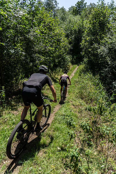 MTBroute Zeewolde - Flevolandse jungle