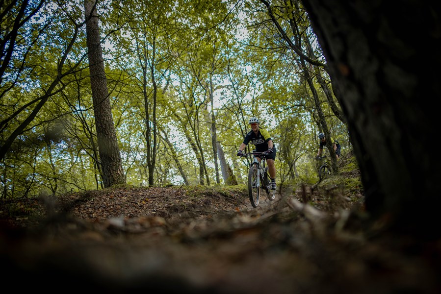 MTB-route Diever-Hoogersmilde