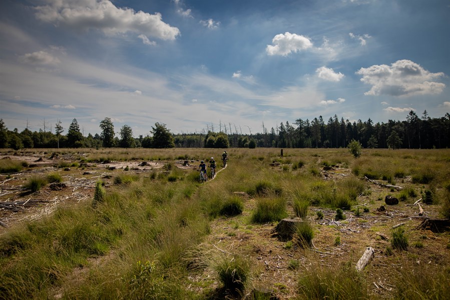 MTB-route Dwingeloo