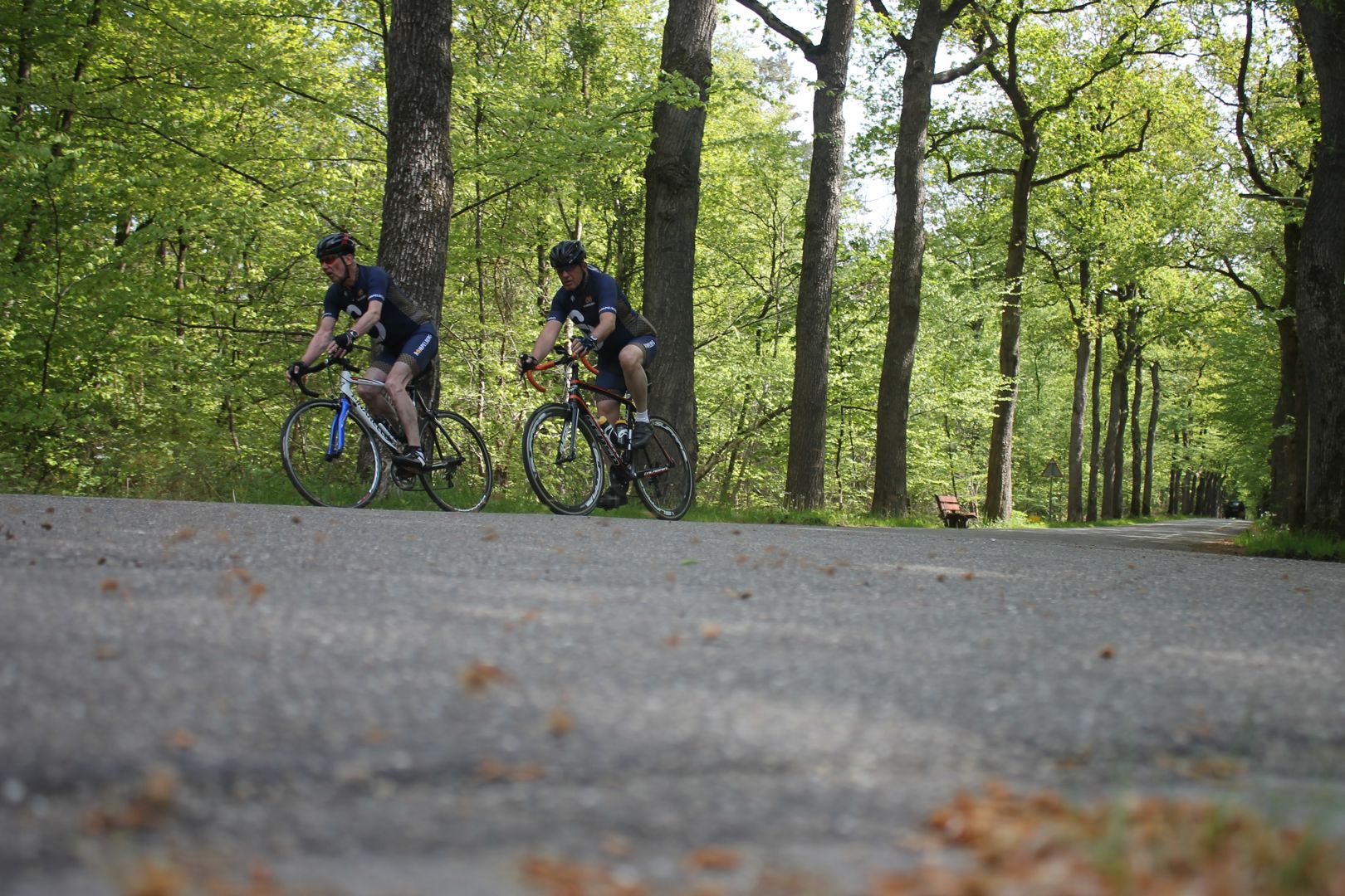 Ermelose Fiets Sensatie Race 2025