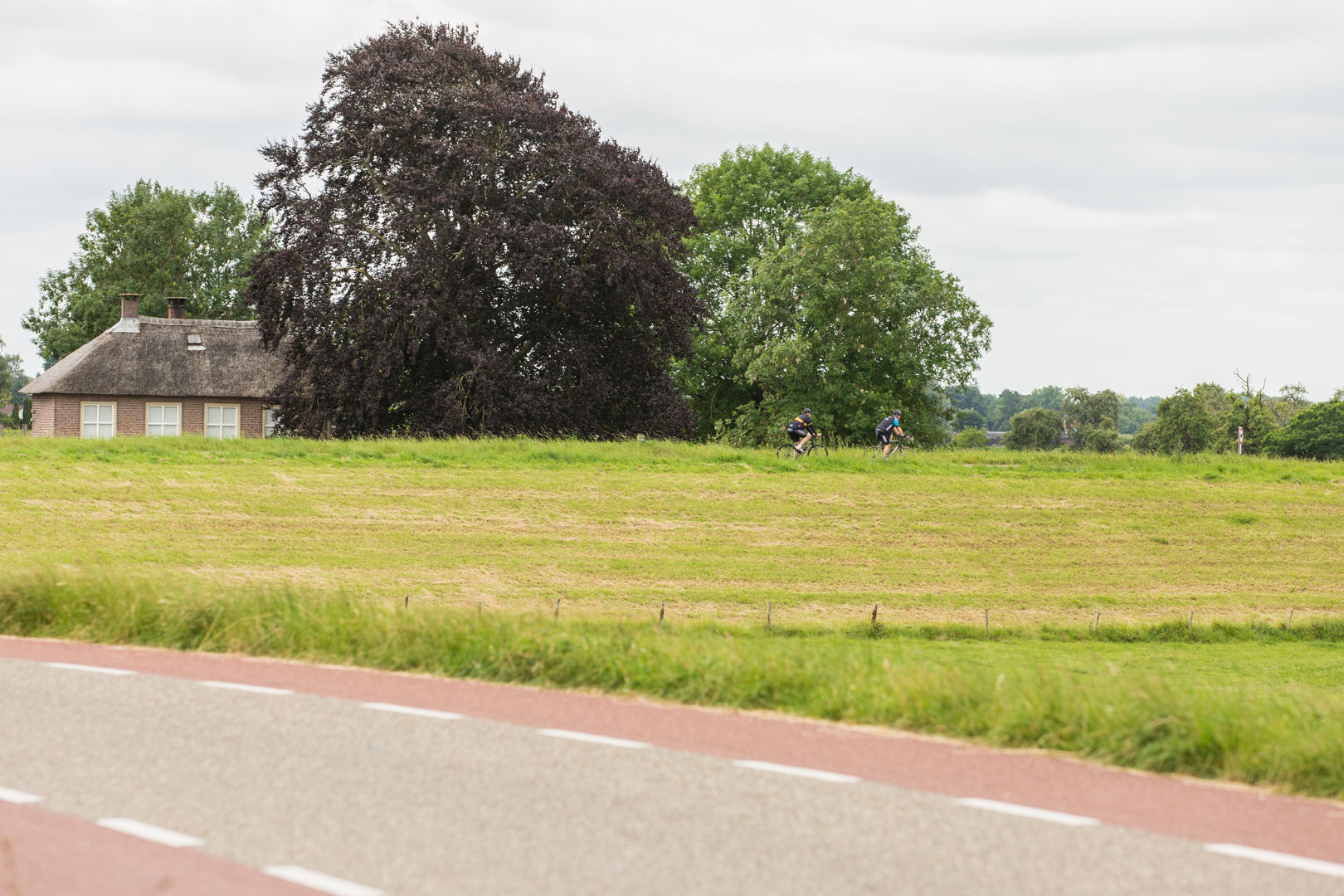 Gejo Betuwse Kersentocht ZAT 2024