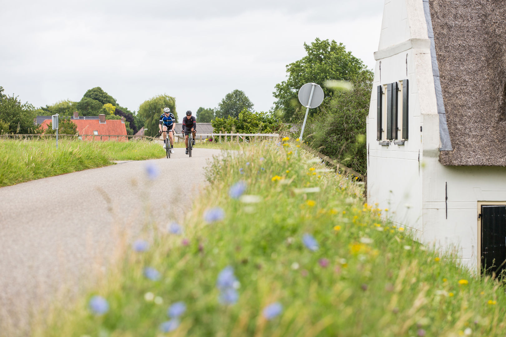 Gejo Betuwse Kersentocht ZAT 2024