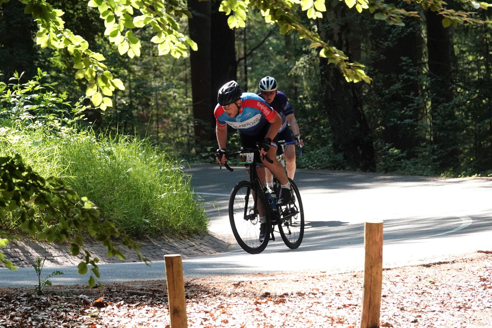 Vael Ouwe 2024 - Veluwe, Posbank & IJsselvallei