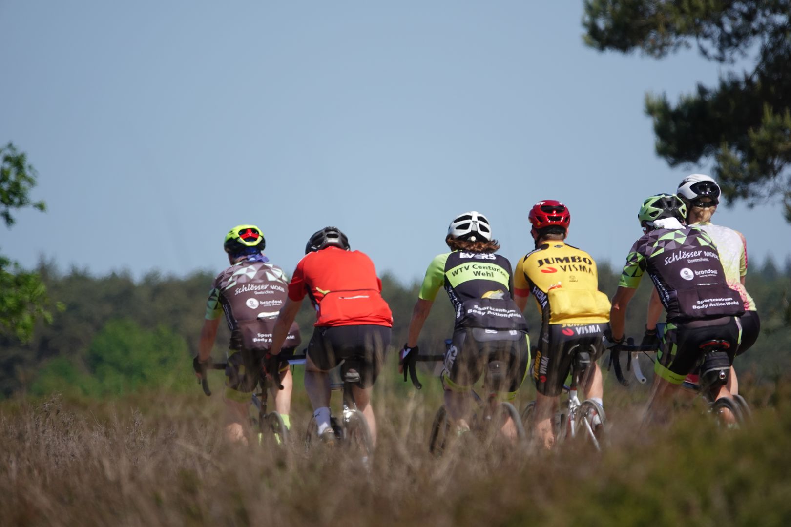 Vael Ouwe 2024 - Veluwe, Posbank & IJsselvallei