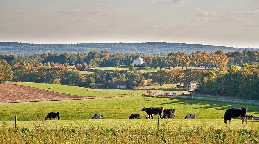 De Kempenaer Pukkeltocht