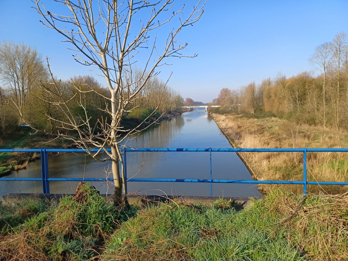 Strade Bianche Flevoland 2025