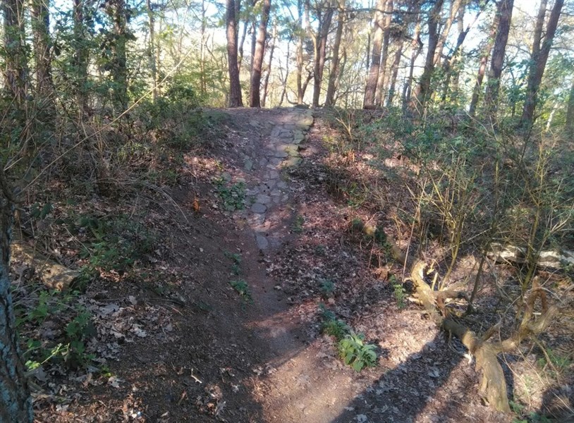 Herfstbostocht 2023 MTB & Gravel