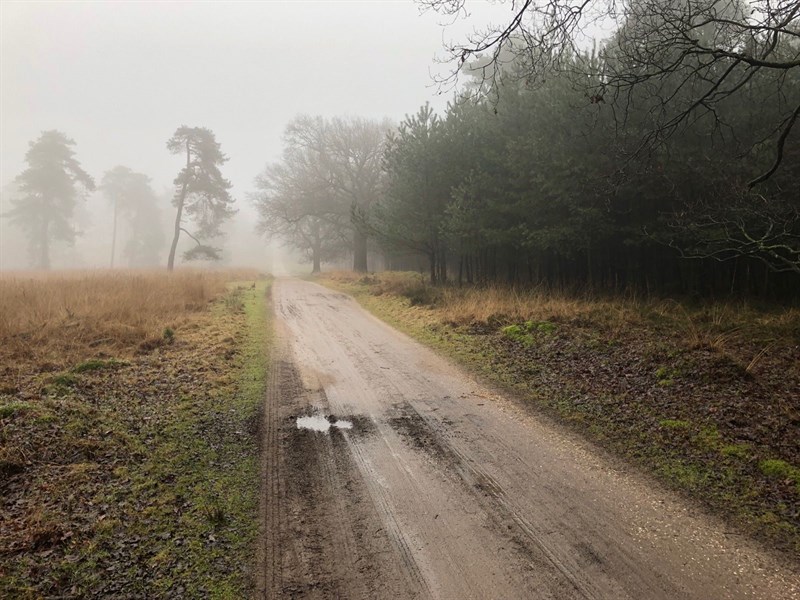 Winterbostocht gravel