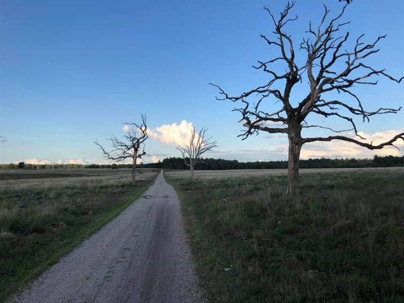 Winterbostocht gravel
