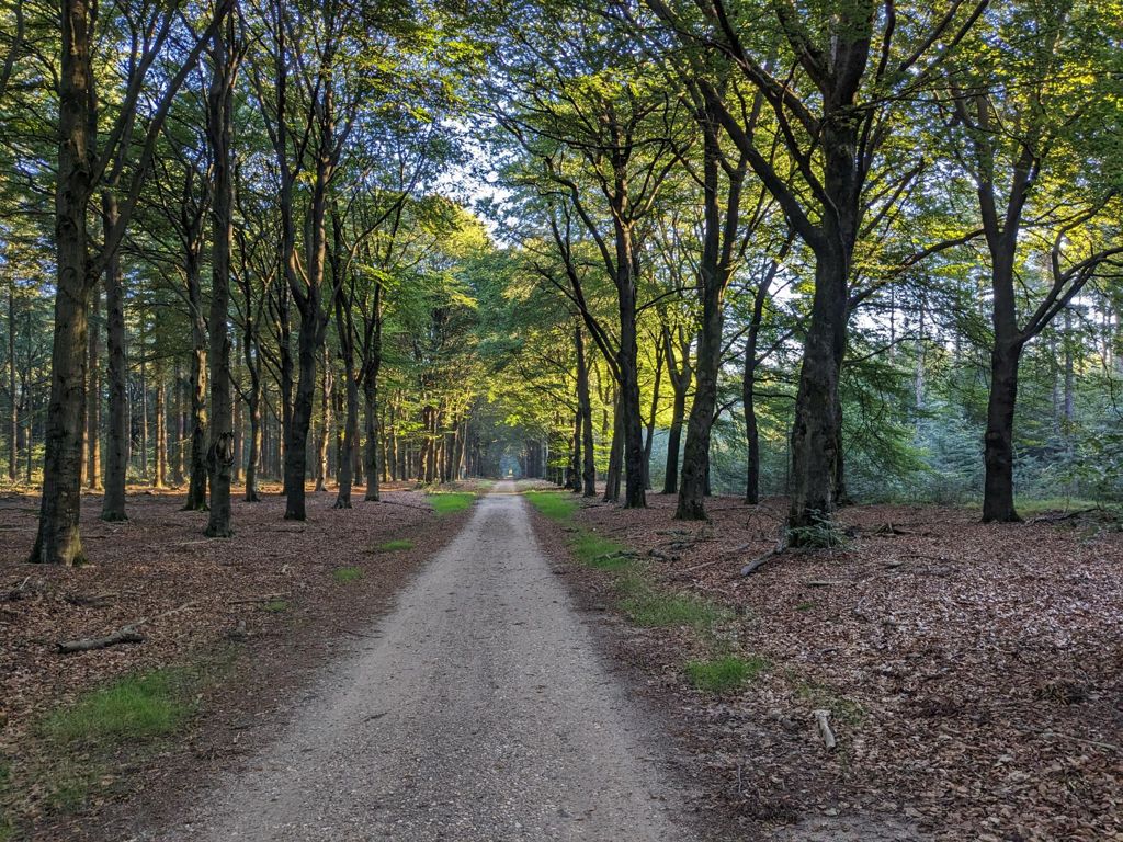 Kootwijks Mooiste Graveltocht 2026
