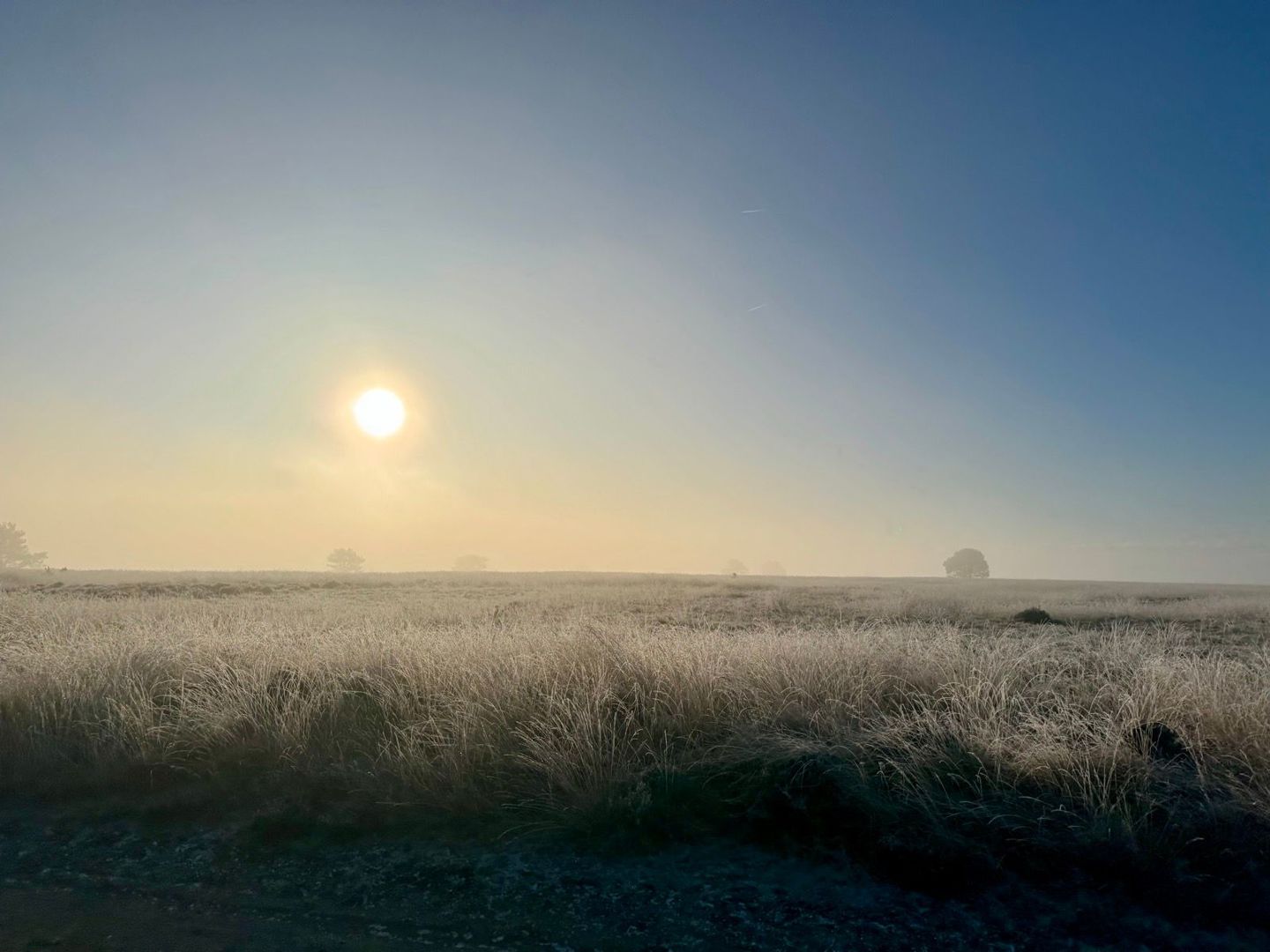 Speulderbos winter graveltocht 2028