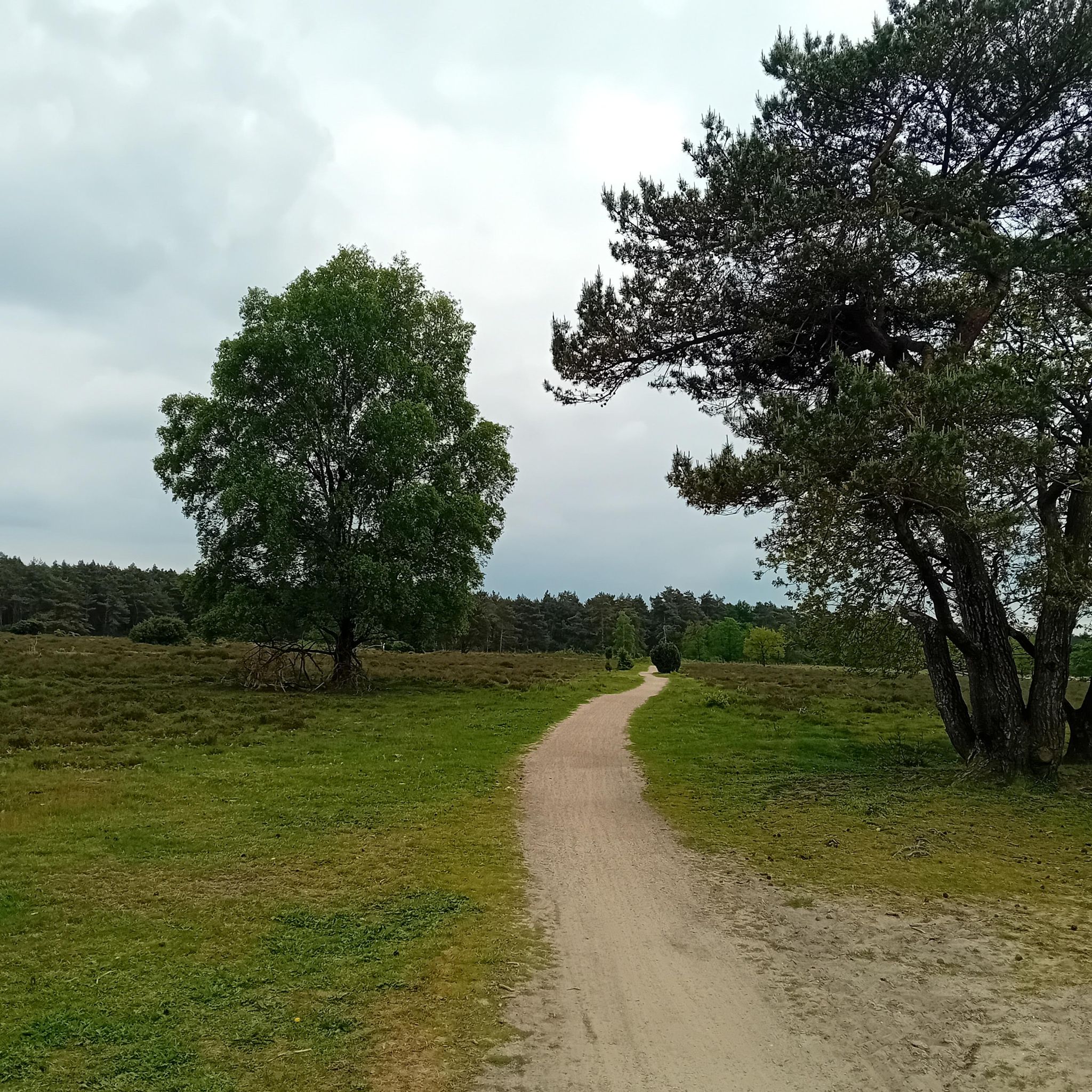 St. Nicolaastocht MTB en Gravelride 2024