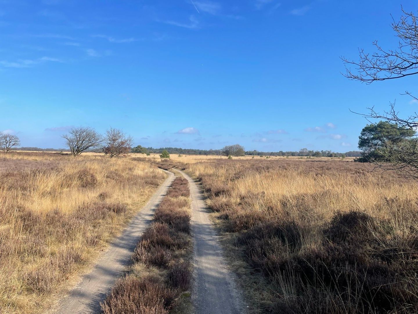 Oudejaarstocht Gravel tocht 2025